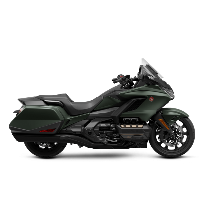 Gold Wing Bagger