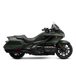 Gold Wing Bagger