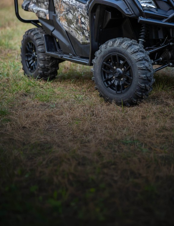 Forest Edition Features Forest Edition Features