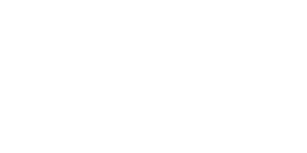 Pioneer Electronic Power Steering