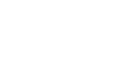 Programmed Fuel-Injection